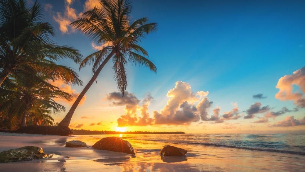 Punta Cana en Navidad y Fin de Año